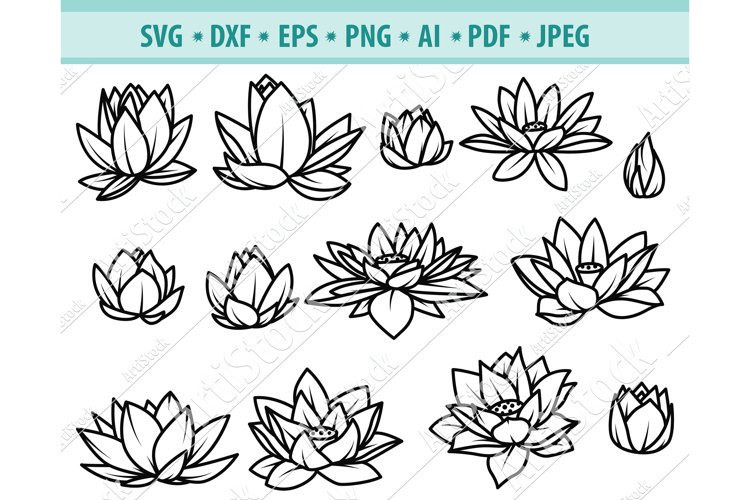 Detail Bunga Wijaya Kusuma Vector Nomer 28