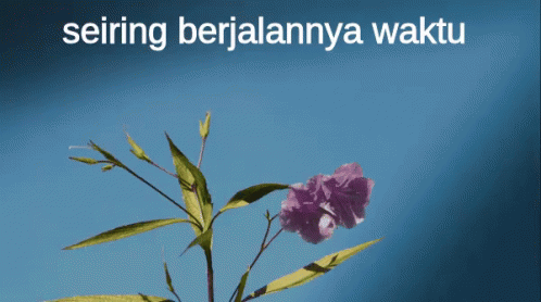 Detail Bunga Yang Layu Nomer 42