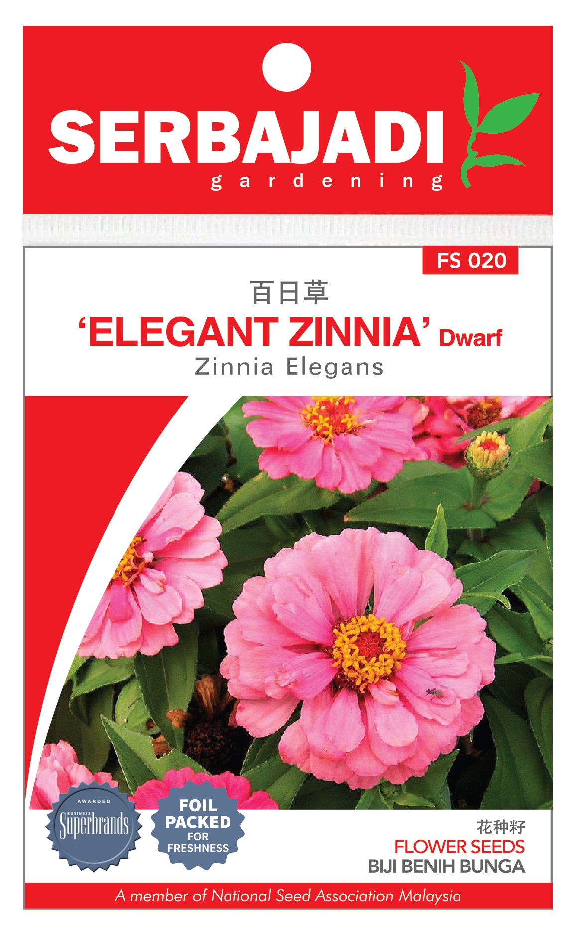 Detail Bunga Zinnia Elegans Nomer 31