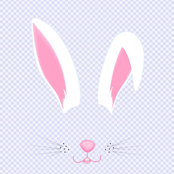 Bunny Ears And Nose Photo Editor - KibrisPDR