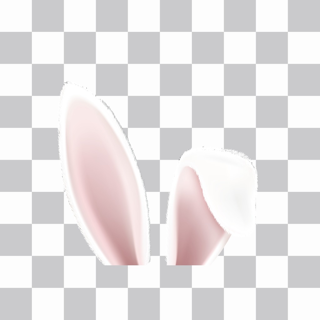 Detail Bunny Ears And Nose Photo Editor Nomer 18