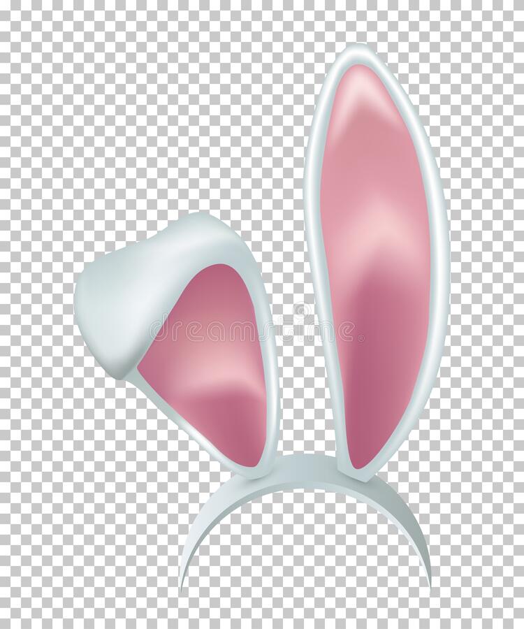 Detail Bunny Ears And Nose Photo Editor Nomer 29