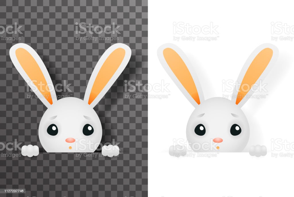 Detail Bunny Transparent Background Nomer 21