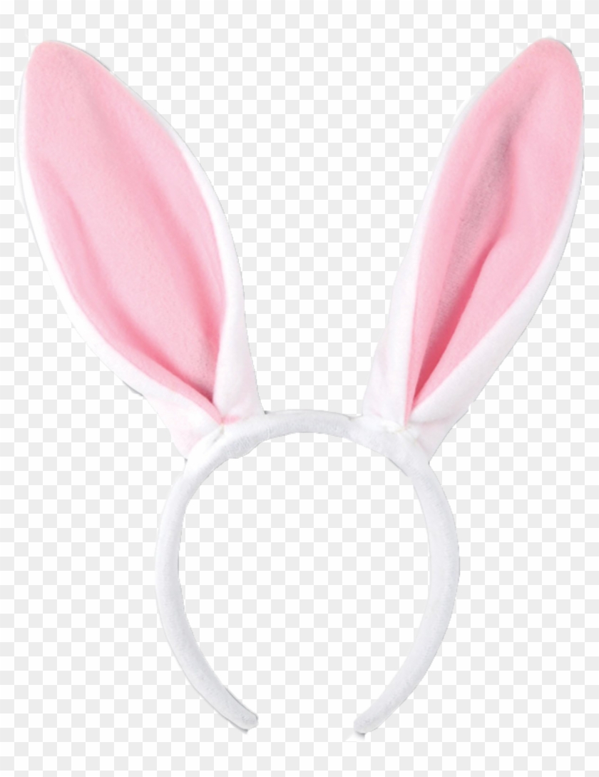 Detail Bunny Transparent Background Nomer 31