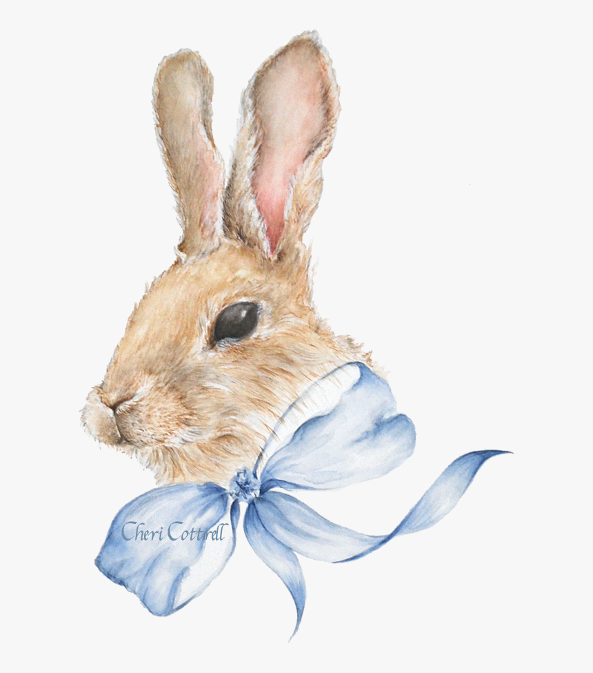 Detail Bunny Transparent Background Nomer 46