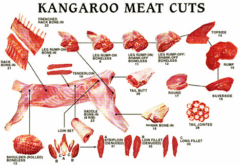 Detail Burger King Kangaroo Meat Nomer 31