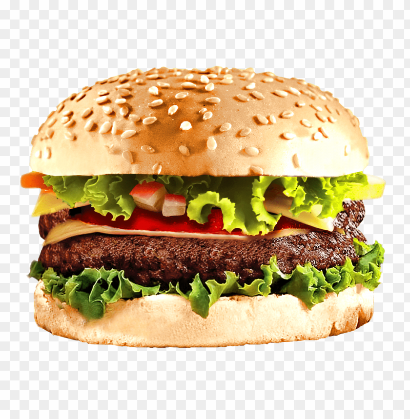 Detail Burger Transparent Background Nomer 2