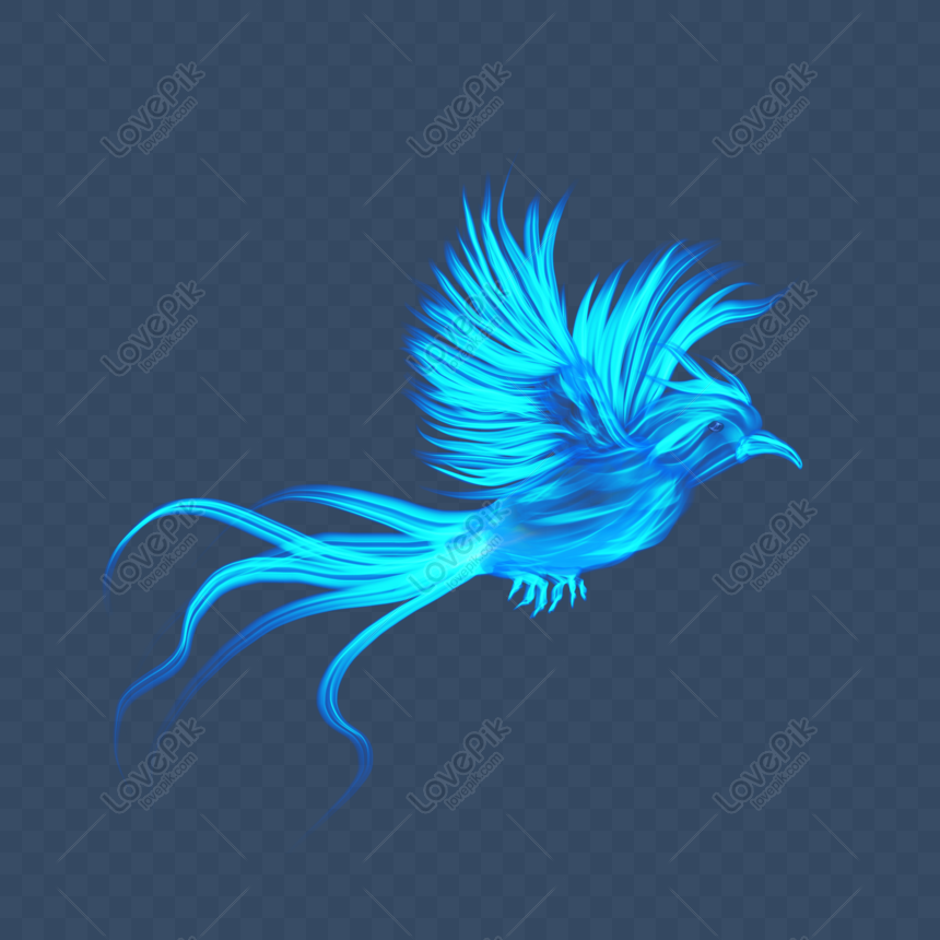 Burung Api Biru - KibrisPDR