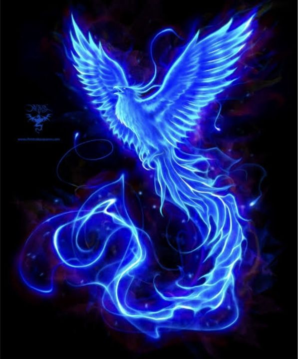 Detail Burung Api Biru Nomer 2