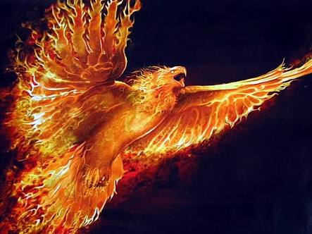 Detail Burung Api Biru Nomer 12