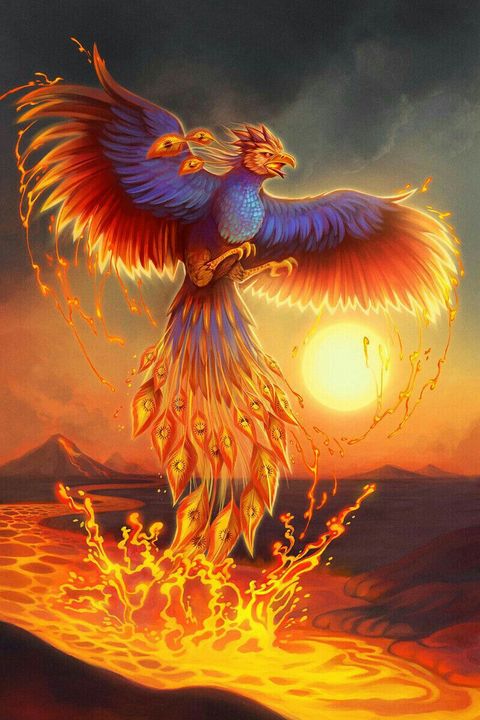 Detail Burung Api Biru Nomer 13