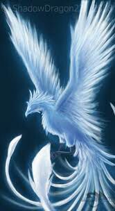 Detail Burung Api Biru Nomer 17