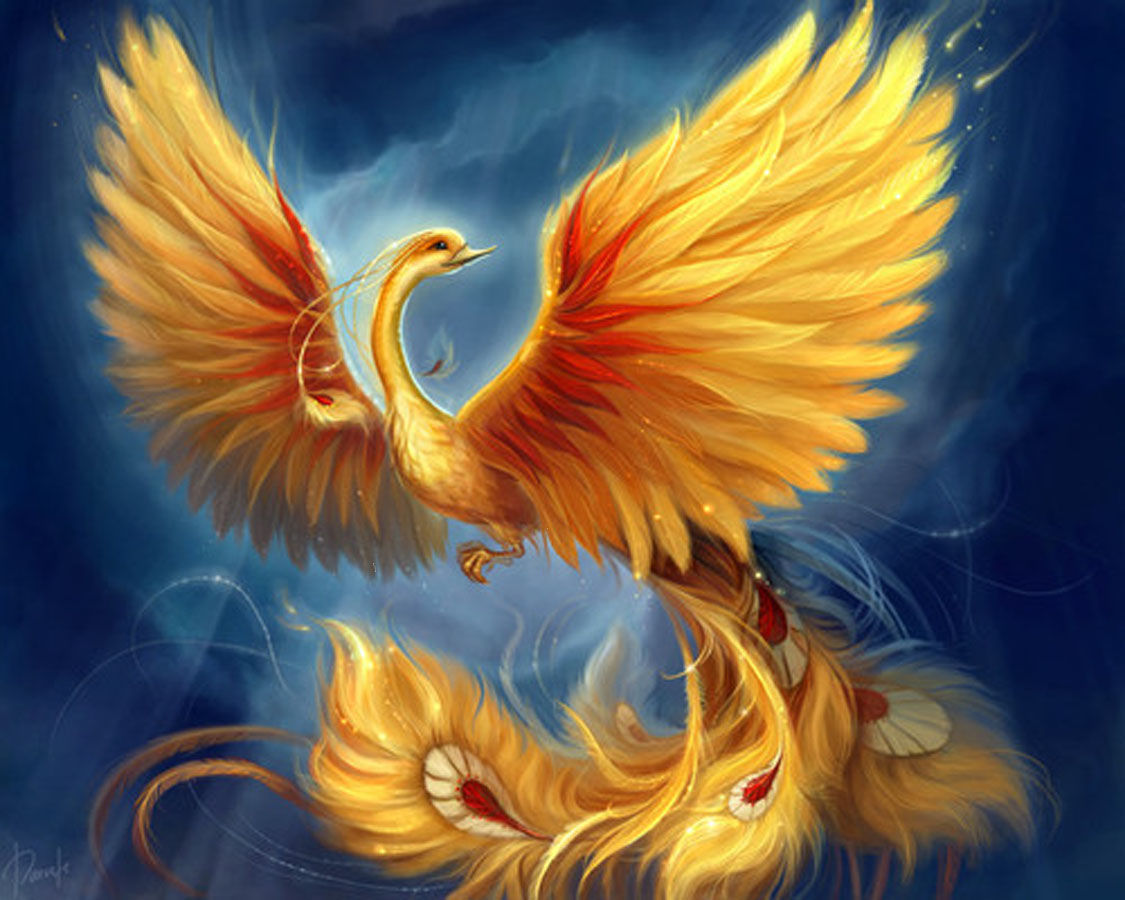 Detail Burung Api Biru Nomer 24