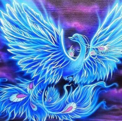 Detail Burung Api Biru Nomer 7