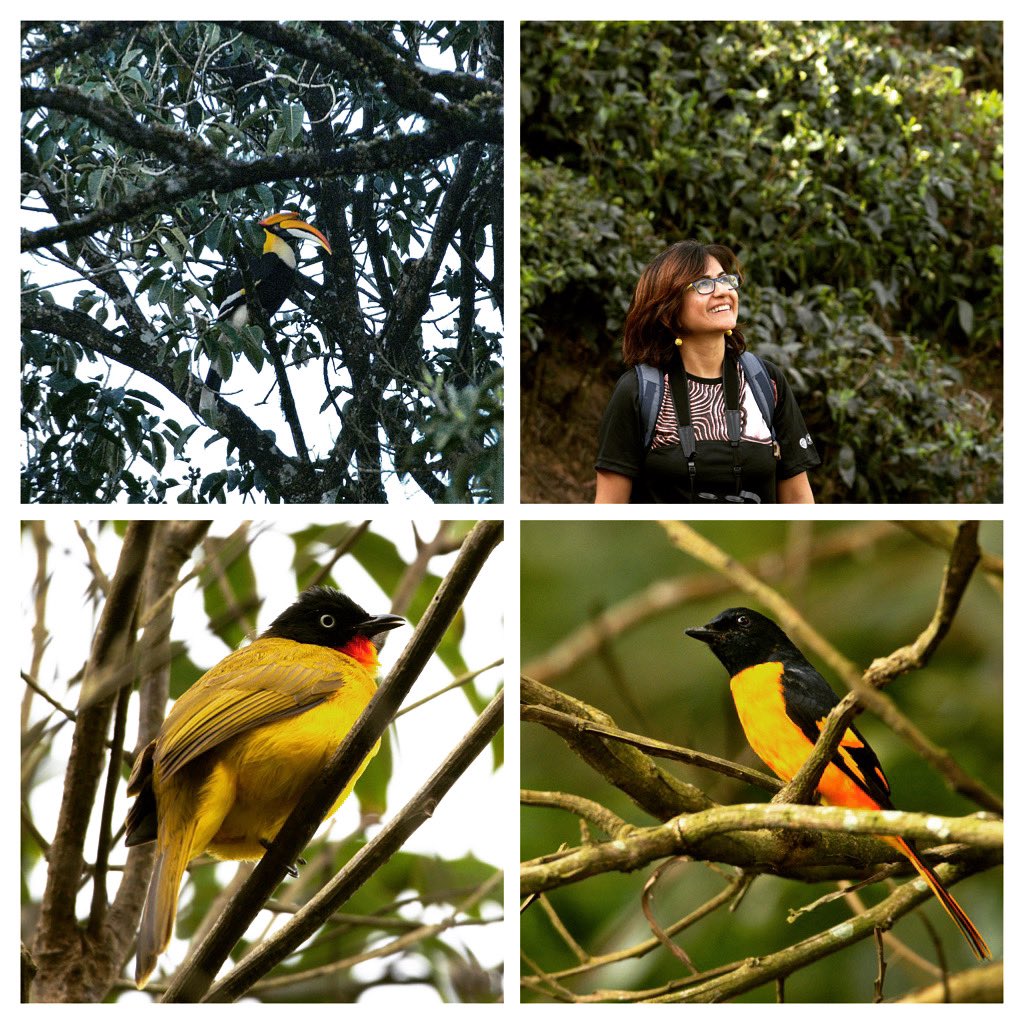 Detail Burung Bara Api Nomer 22