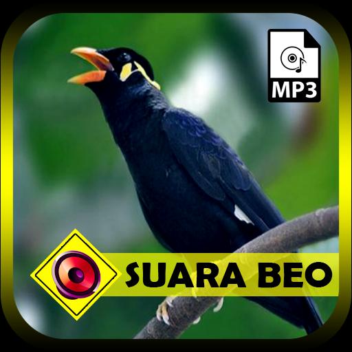 Detail Burung Beo In English Nomer 49