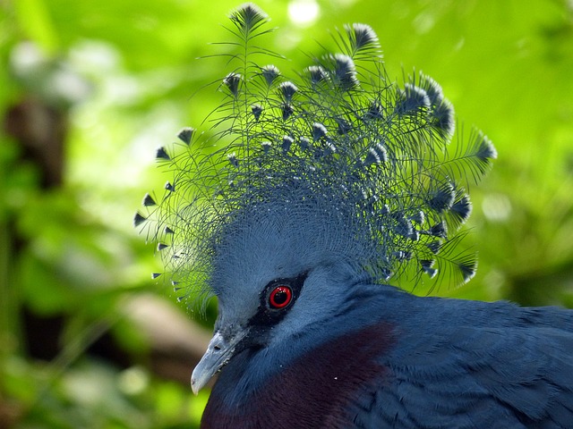 Detail Burung Cantik Warna Warni Nomer 43