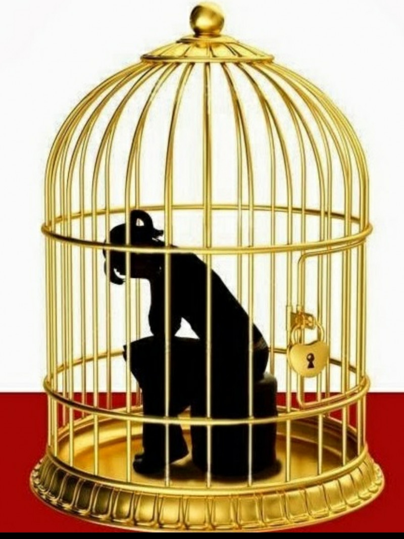 Detail Burung Dalam Sangkar Emas Nomer 2