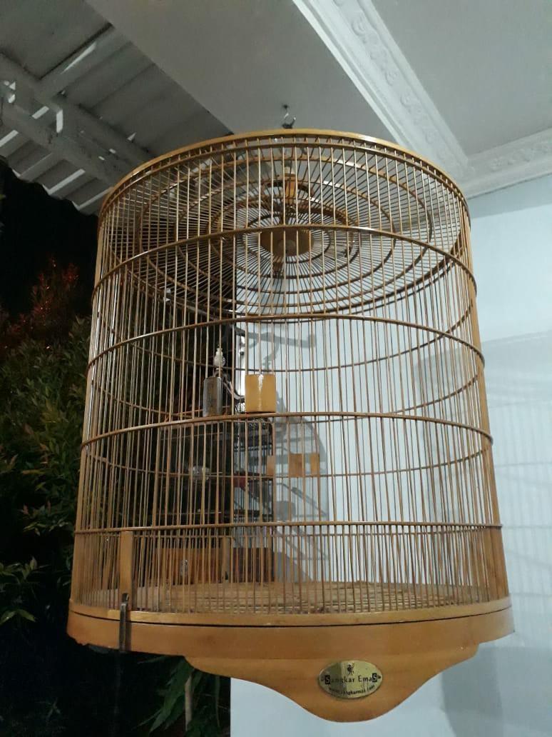 Detail Burung Dalam Sangkar Emas Nomer 21