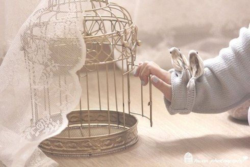 Detail Burung Dalam Sangkar Emas Nomer 42