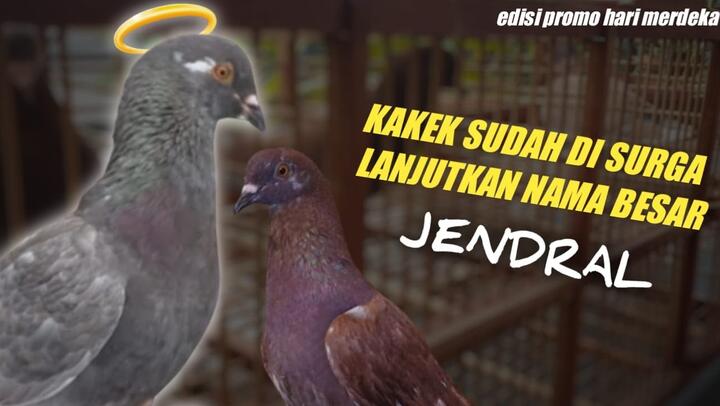 Detail Burung Dara Garong Nomer 36