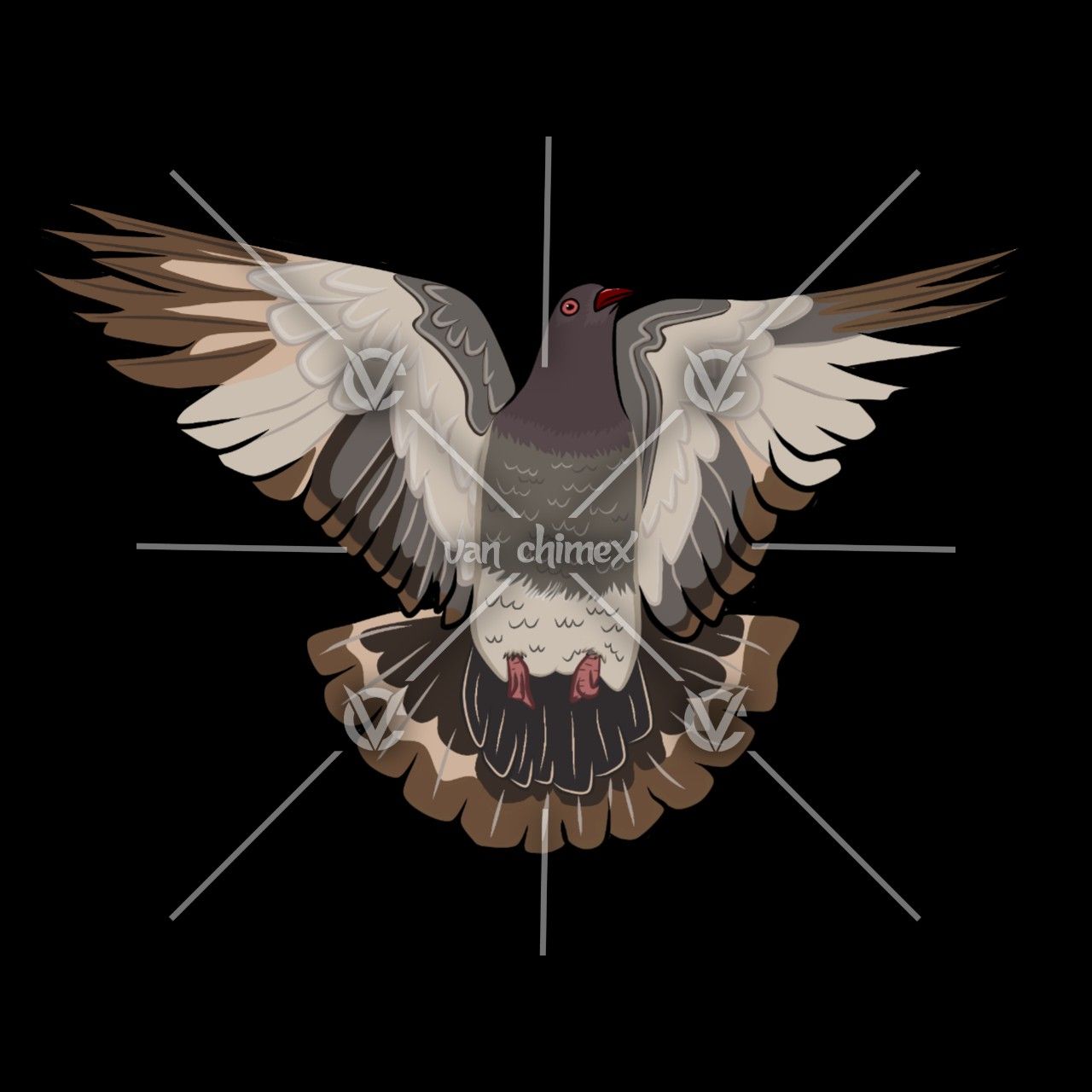 Detail Burung Dara Vector Nomer 15