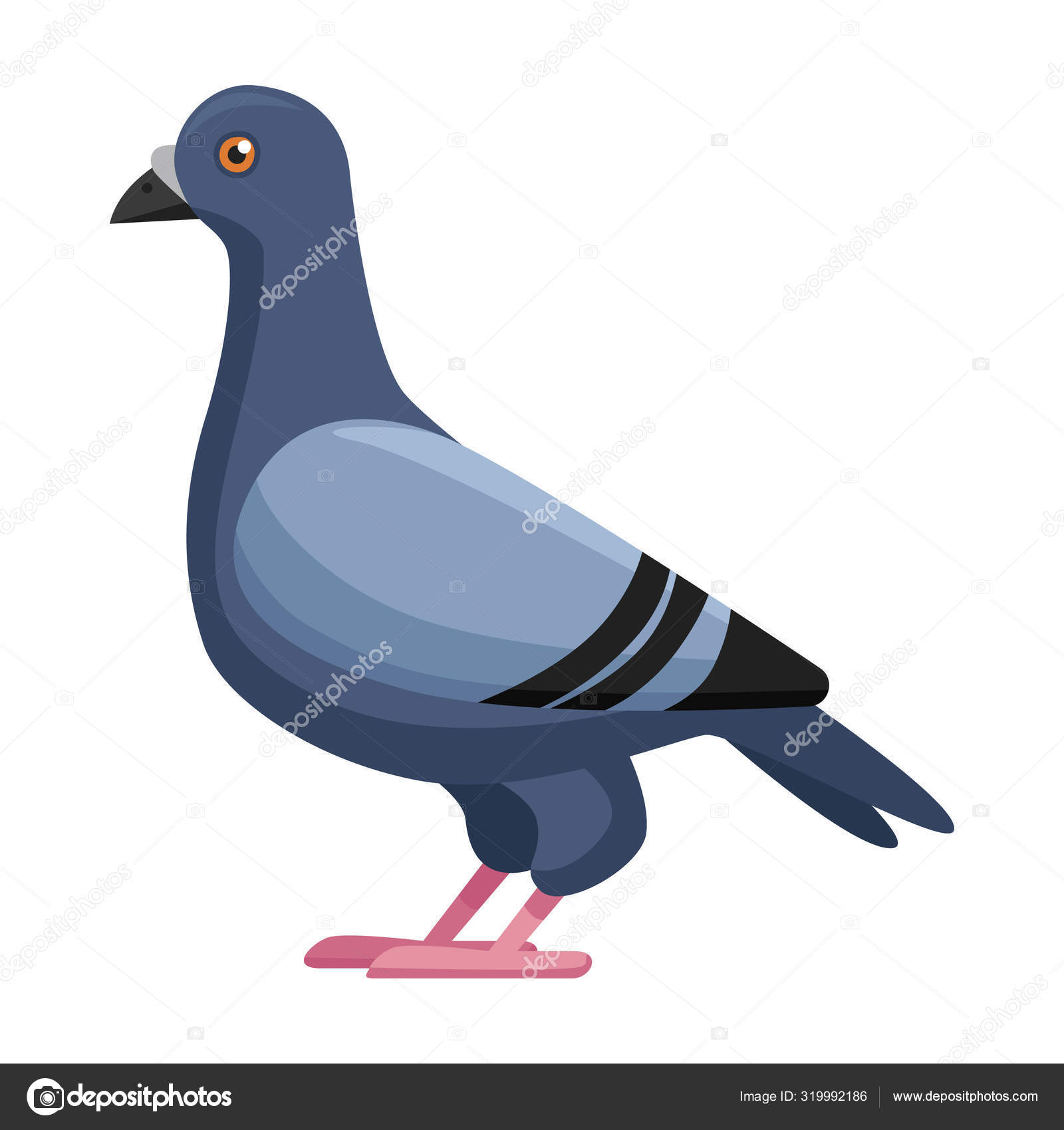 Download Burung Dara Vector Nomer 8