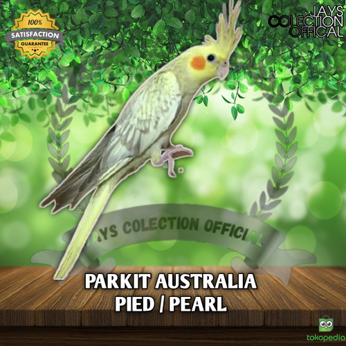 Detail Burung Dari Australia Nomer 51