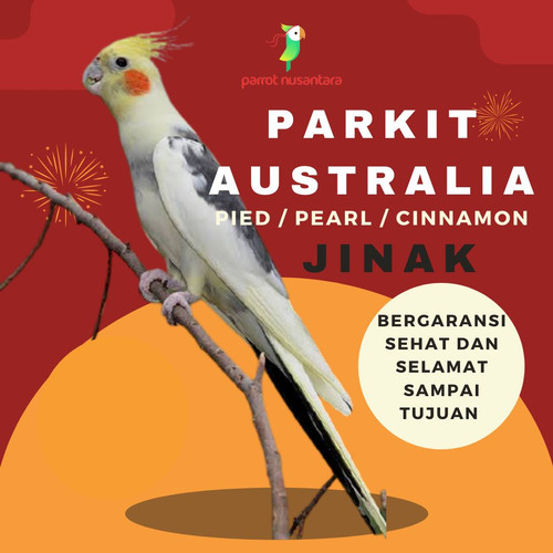 Detail Burung Dari Australia Nomer 56