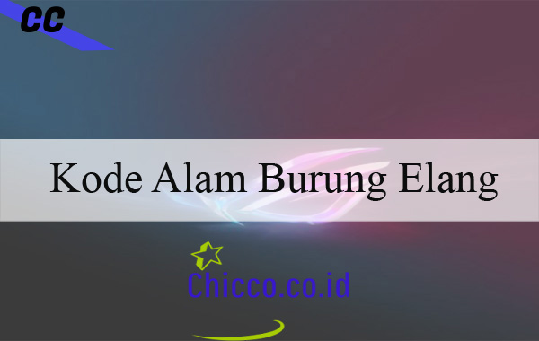 Detail Burung Elang 4d Nomer 18