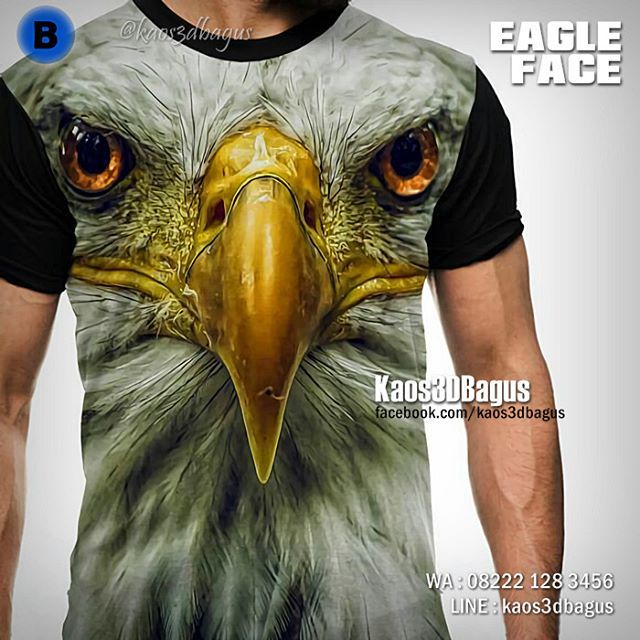 Detail Burung Elang 4d Nomer 56