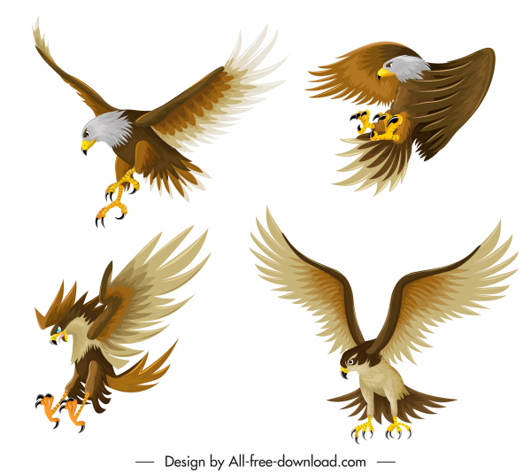 Detail Burung Elang Vector Nomer 14