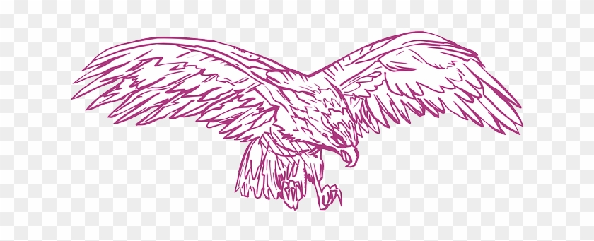 Detail Burung Elang Vector Nomer 15