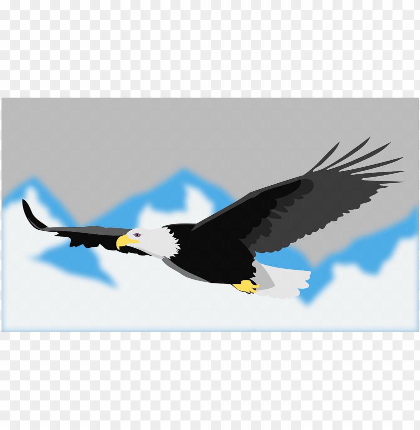 Detail Burung Elang Vector Nomer 3