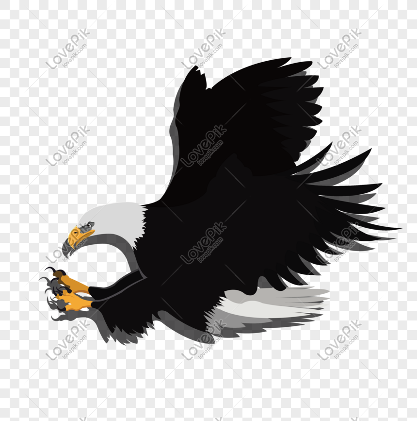 Detail Burung Elang Vector Nomer 20