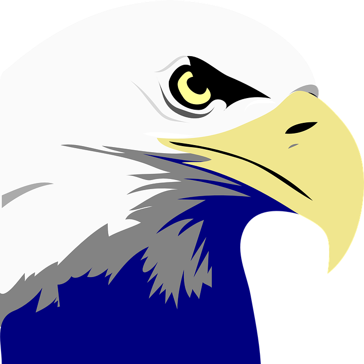 Detail Burung Elang Vector Nomer 23