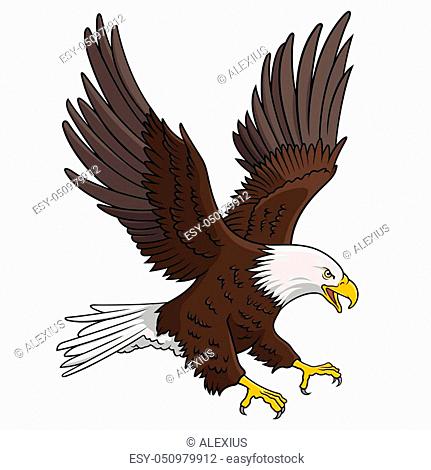 Detail Burung Elang Vector Nomer 24