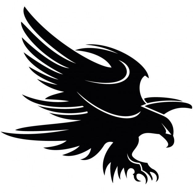 Detail Burung Elang Vector Nomer 25