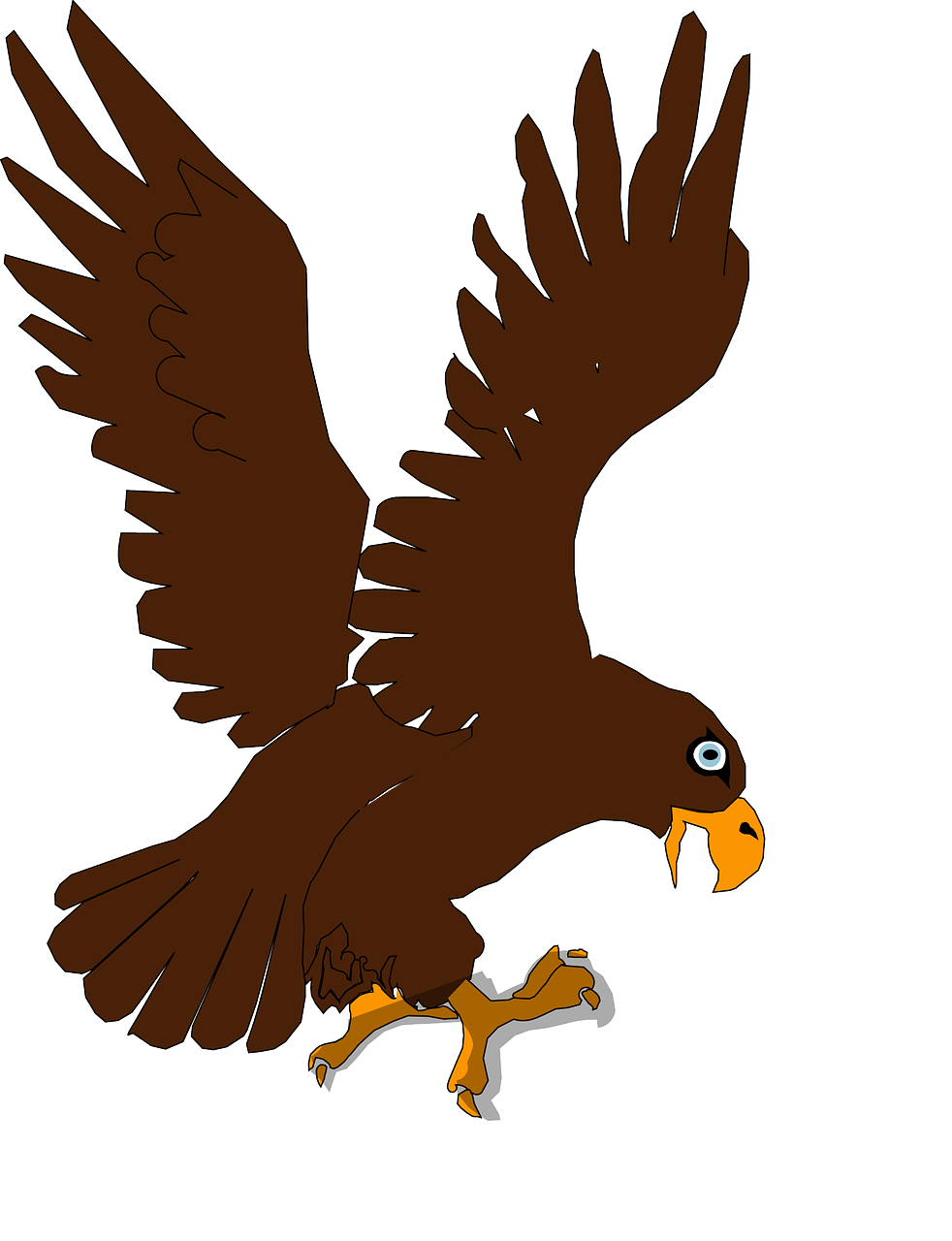 Detail Burung Elang Vector Nomer 26