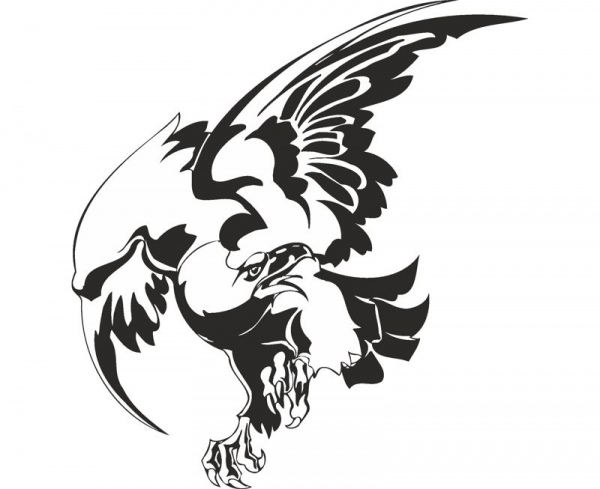 Detail Burung Elang Vector Nomer 27