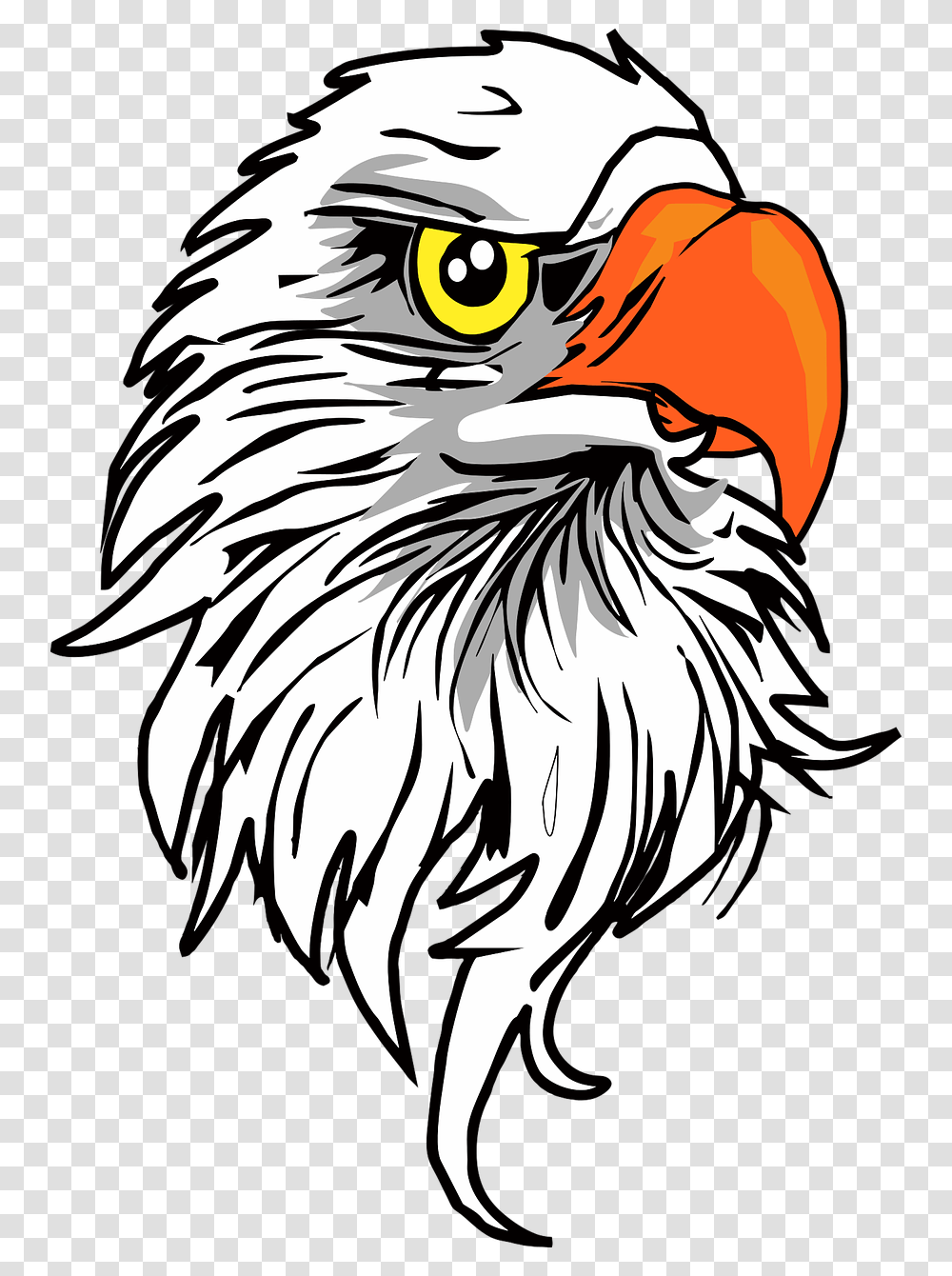 Detail Burung Elang Vector Nomer 29