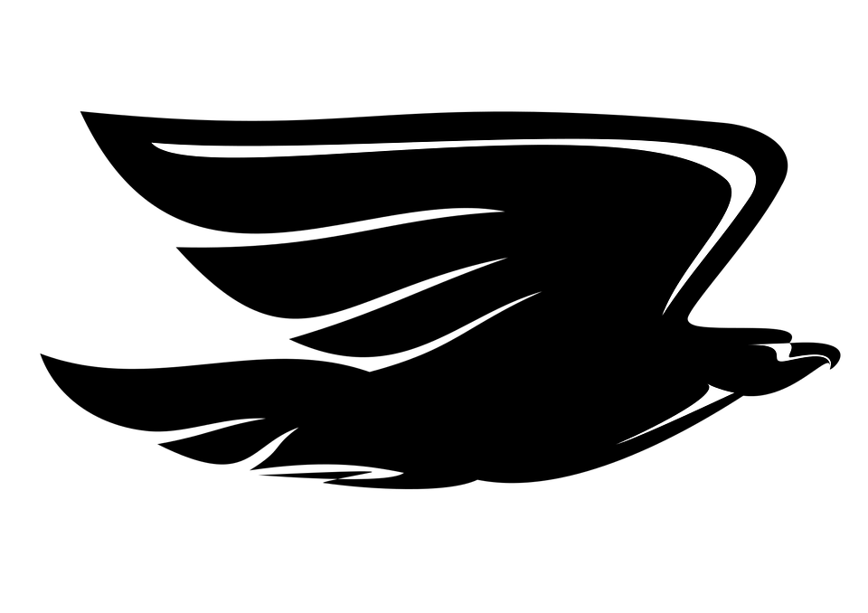 Detail Burung Elang Vector Nomer 39