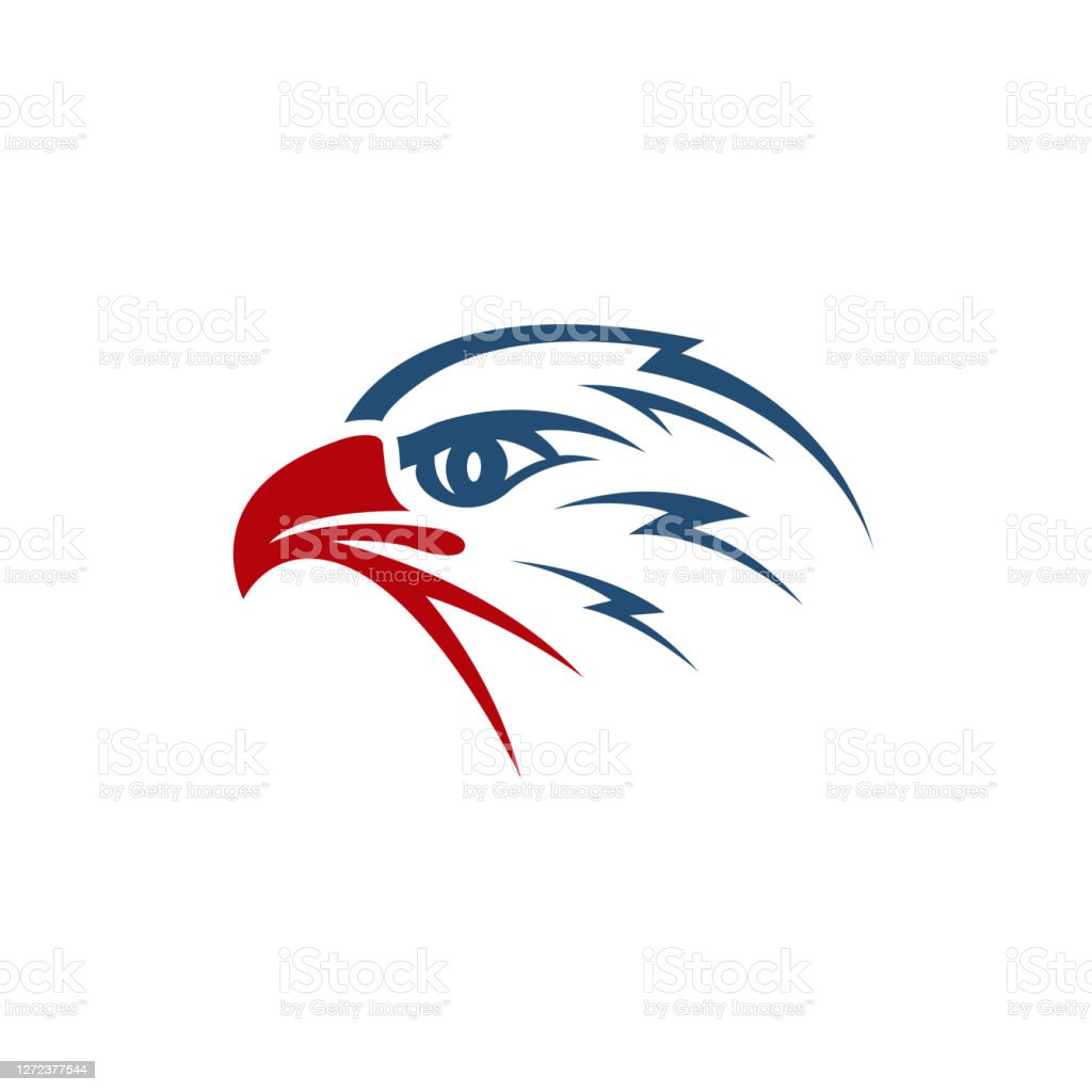 Detail Burung Elang Vector Nomer 43