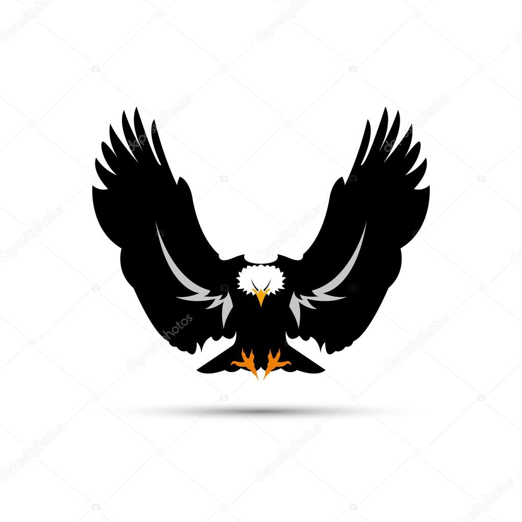 Detail Burung Elang Vector Nomer 44