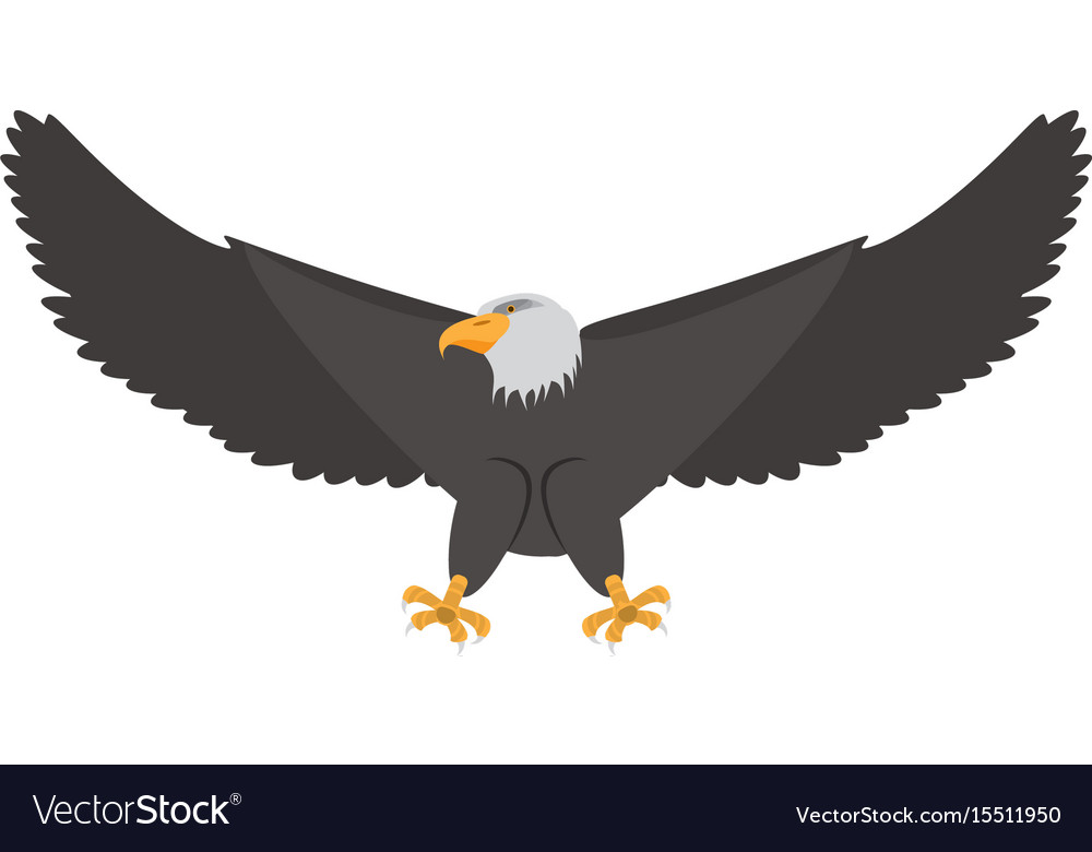 Detail Burung Elang Vector Nomer 45