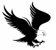Detail Burung Elang Vector Nomer 48