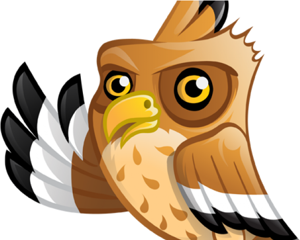 Detail Burung Elang Vector Nomer 50