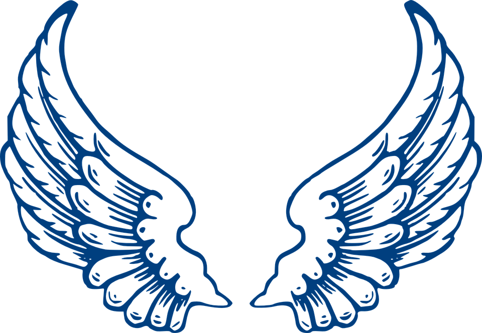 Detail Burung Elang Vector Nomer 52