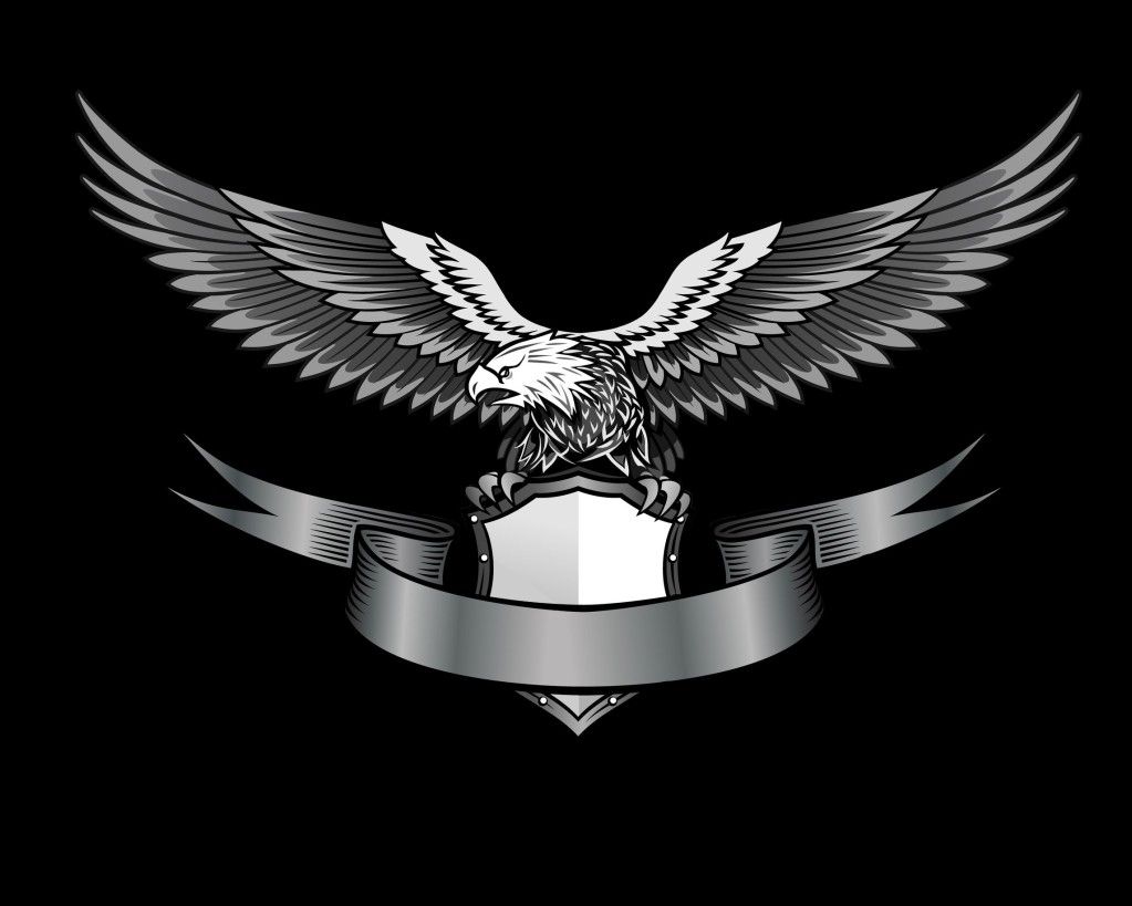 Detail Burung Elang Vector Nomer 9