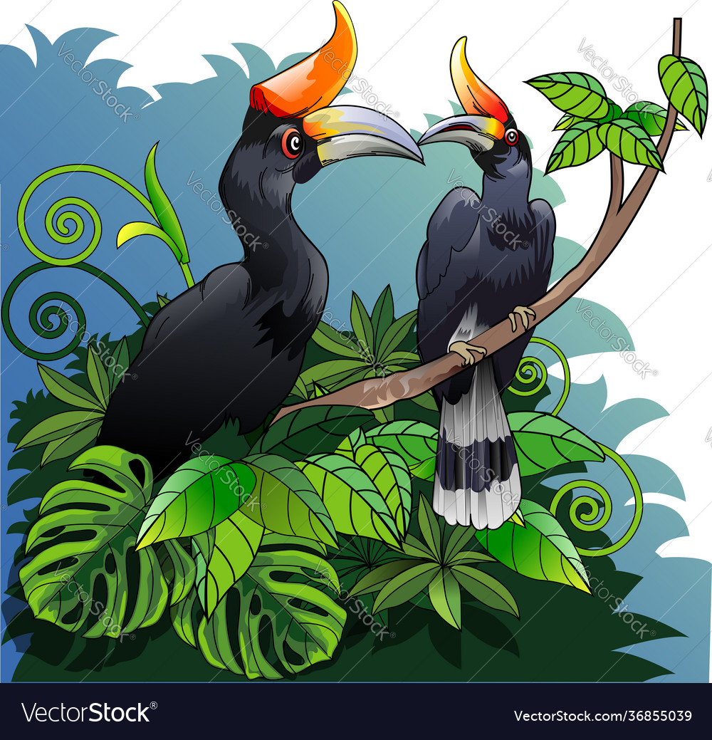 Burung Enggang Vector - KibrisPDR